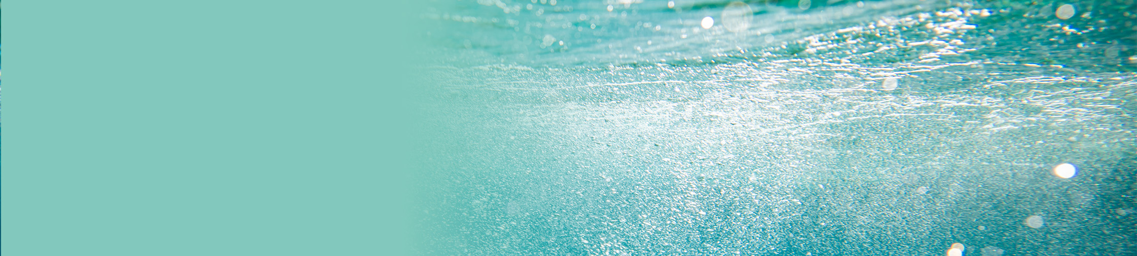 Sea HA+™